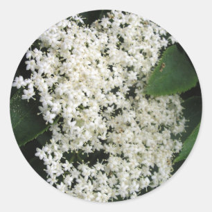 Elderflower Runder Aufkleber