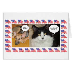 Élection politique animale 2016