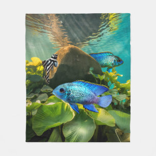 Electric Blue Acara Cichlids Zebra Pleco Fischkuns Fleecedecke