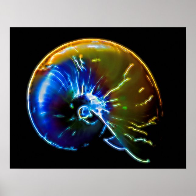 Electric Nautilus Poster (Vorne)