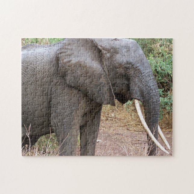Elefant (Horizontal)
