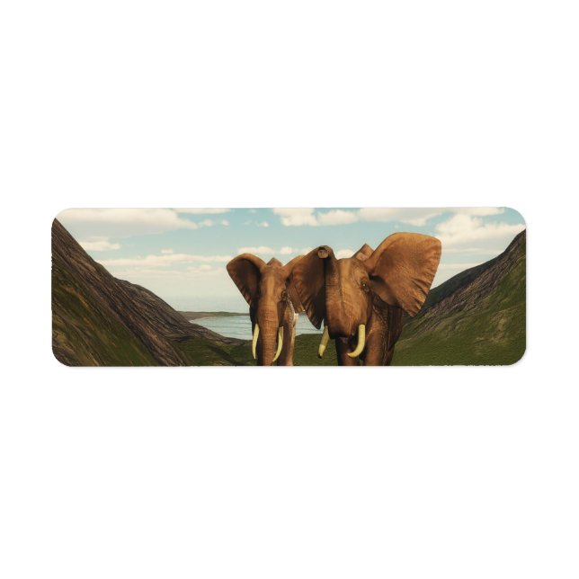 Elefant (Vorne)