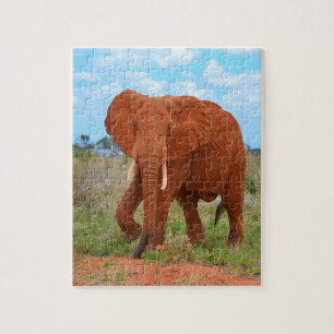 Elefant