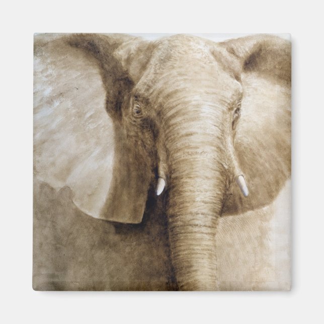 Elefant 2004 magnet (Vorne)