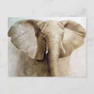 Elefant 2004 postkarte