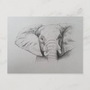 Elefant 2011 postkarte