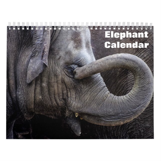 Elefant 2026  kalender (Titelbild)