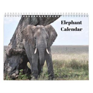 Elefant 2027  kalender