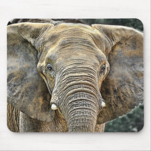 Elefant-Afrikaner alle Ohren Mousepad