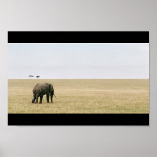 Elefant am Mara Poster