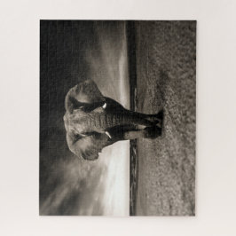 Elefant auf dem Lauf