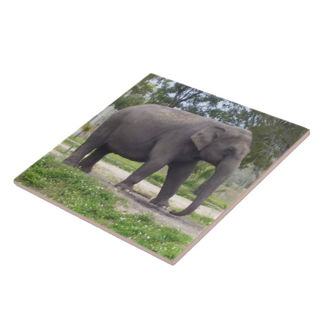 Elefant auf friedlichem Wiesenpfad Fliese (Seite)