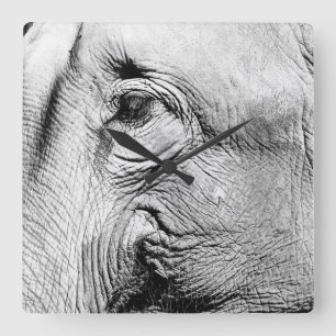 Elefant-Auge, 2017 Quadratische Wanduhr