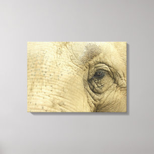 Elefant-Augen-Nahaufnahme-Leinwand-Druck Leinwanddruck