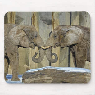 Elefant-beste Freunde Mousepad