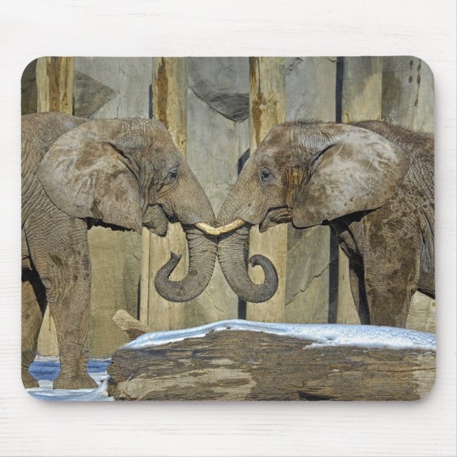 Elefant-beste Freunde Mousepad (Vorne)