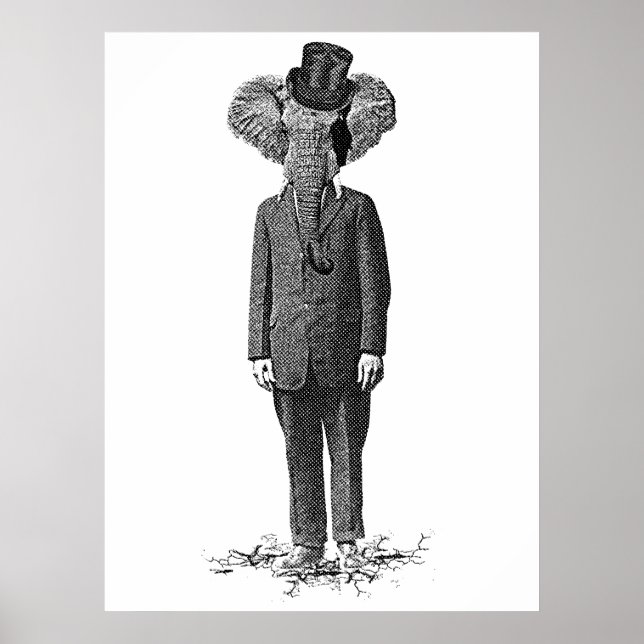 Elefant Dandy Poster (Vorne)