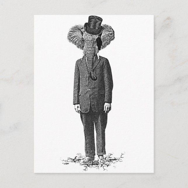 Elefant Dandy Postkarte (Vorderseite)