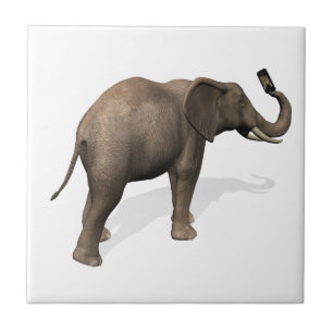 Elefant, der eine Selfie einnimmt Fliese