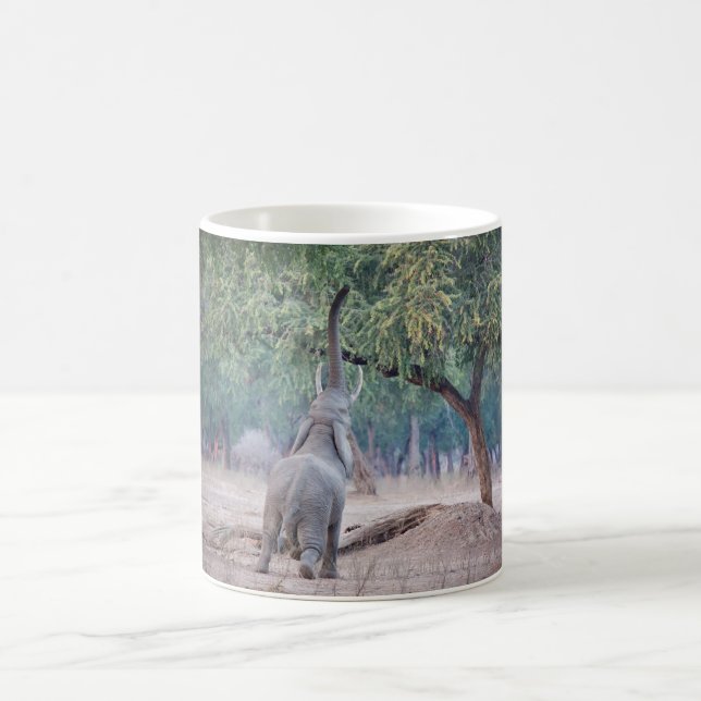 Elefant, der nach Acacia-Baum strebt Kaffeetasse (Mittel)