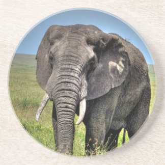 Elefant durch Barb Craven_HDR Print.jpg Sandstein Untersetzer