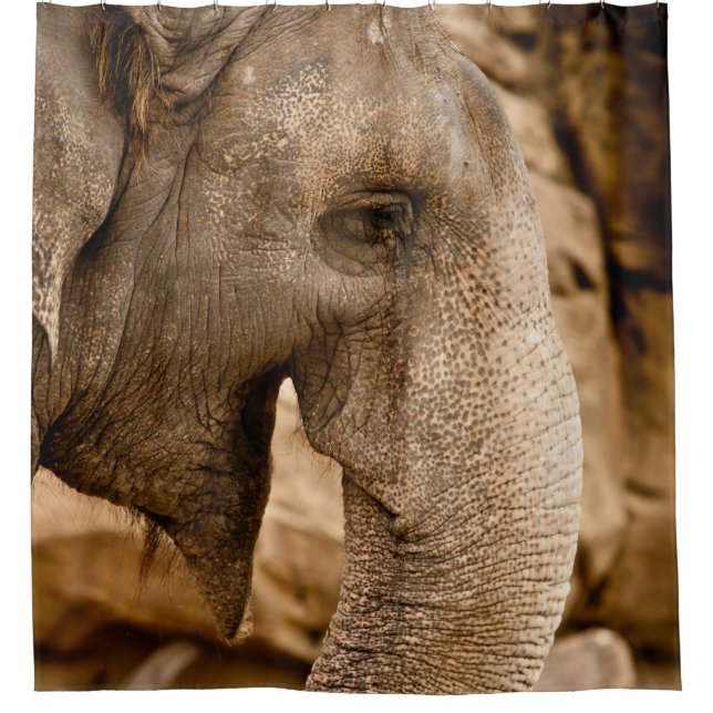ELEFANT DUSCHVORHANG (Vorderseite)