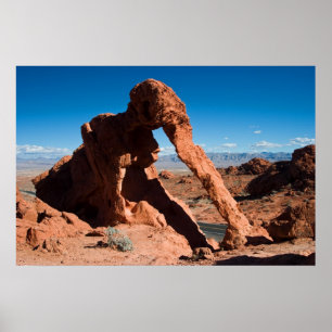 Elefant-Felsen Poster