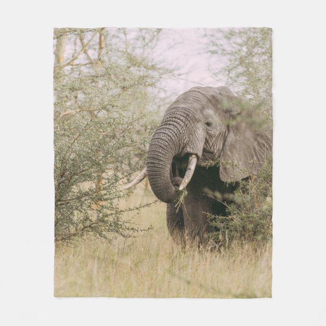 ELEFANT FRISST VON EINEM BAUM FLEECEDECKE (Vorderseite)