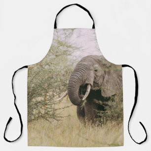 ELEFANT FRISST VON EINEM BAUM SCHÜRZE