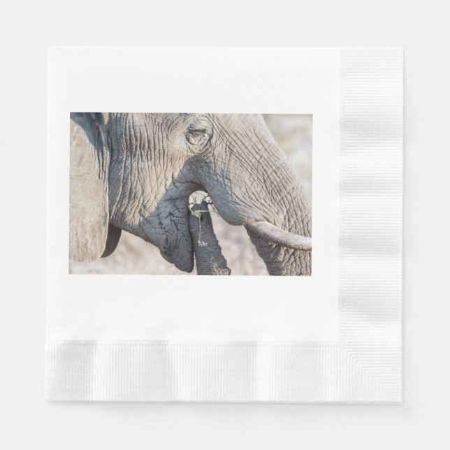Elefant füttre serviette (Vorderseite)