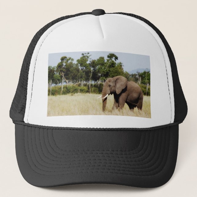 Elefant-gehendes Masai Mara Plains Kenia-Hut Truckerkappe (Vorderseite)