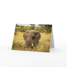 Elefant-Gruß-Karte