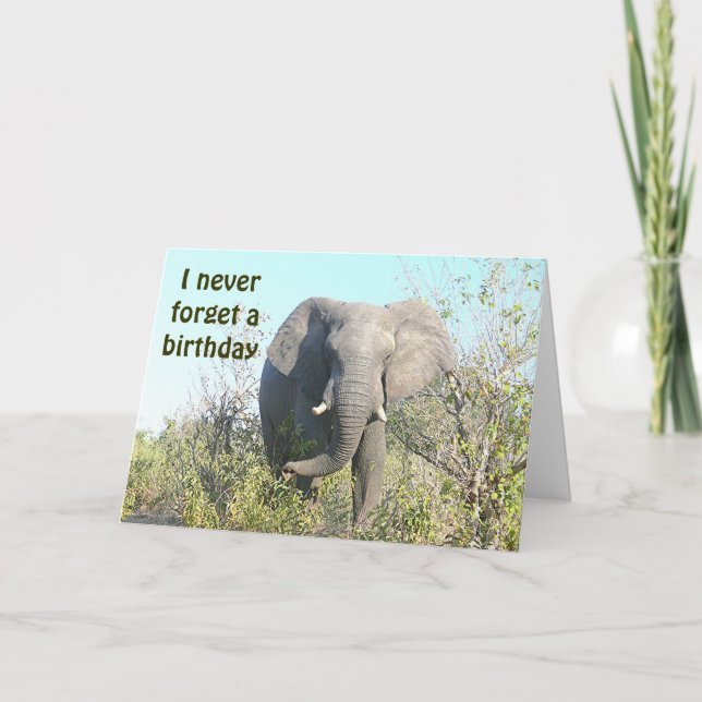 ELEFANT "ich vergesse nie ein Geburtstag" /BELATED Karte (Vorderseite)