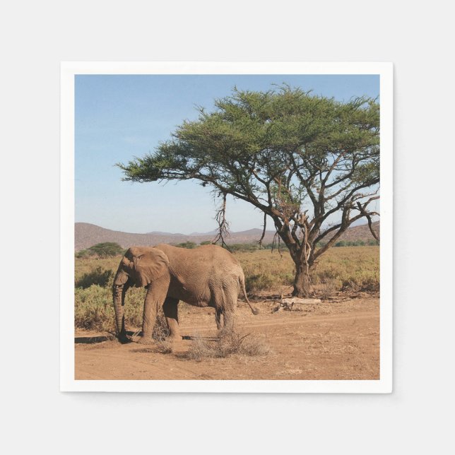 Elefant im Nationalreservat Samburu Serviette (Vorderseite)