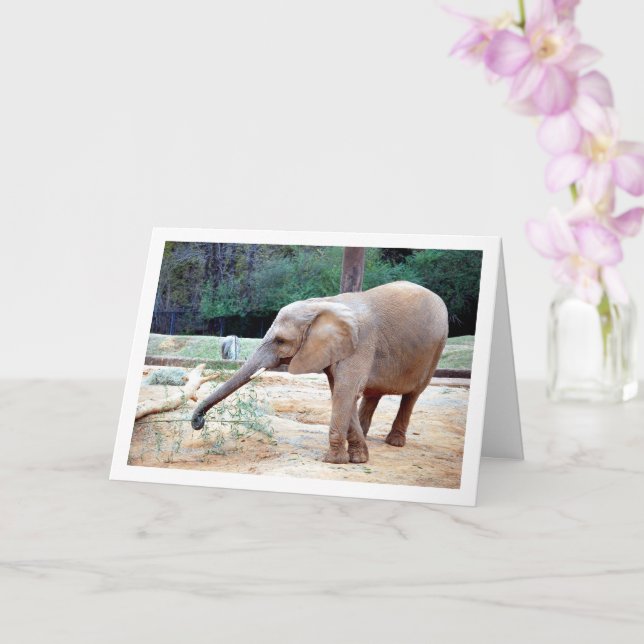 Elefant im Park Portrait Karte (Orchidee)