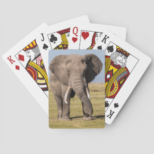 Elefant in aggressiver Pose Spielkarten