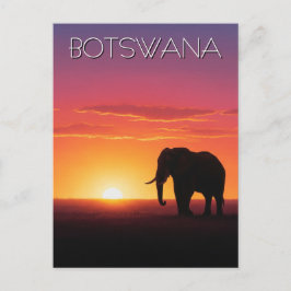 Elefant in Botswana Postkarte