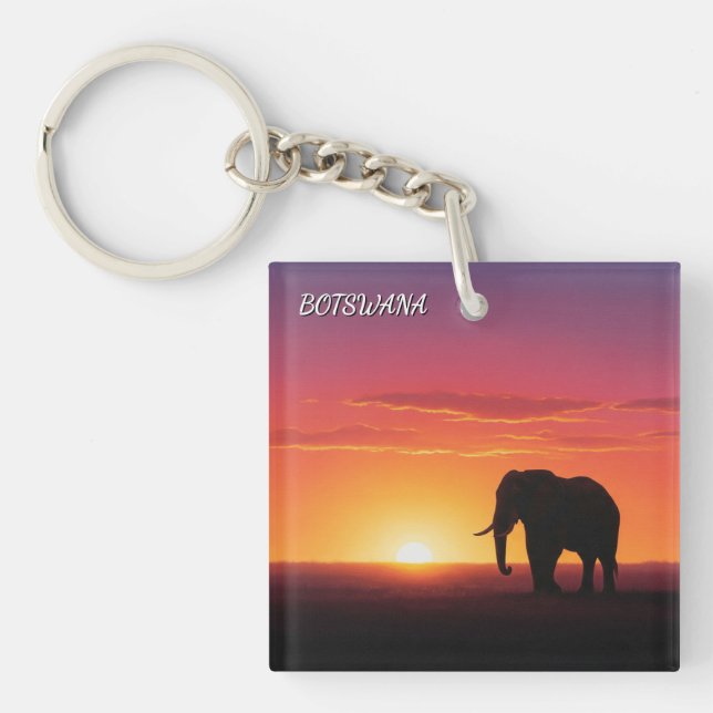 Elefant in Botswana Schlüsselanhänger (Vorderseite)