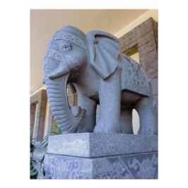 Elefant in Cebu City Poster