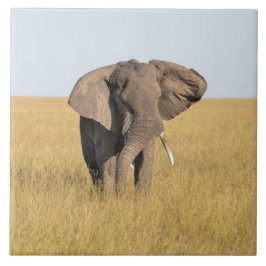 Elefant in der naturafrikanischen Umgebung Keramik Fliese