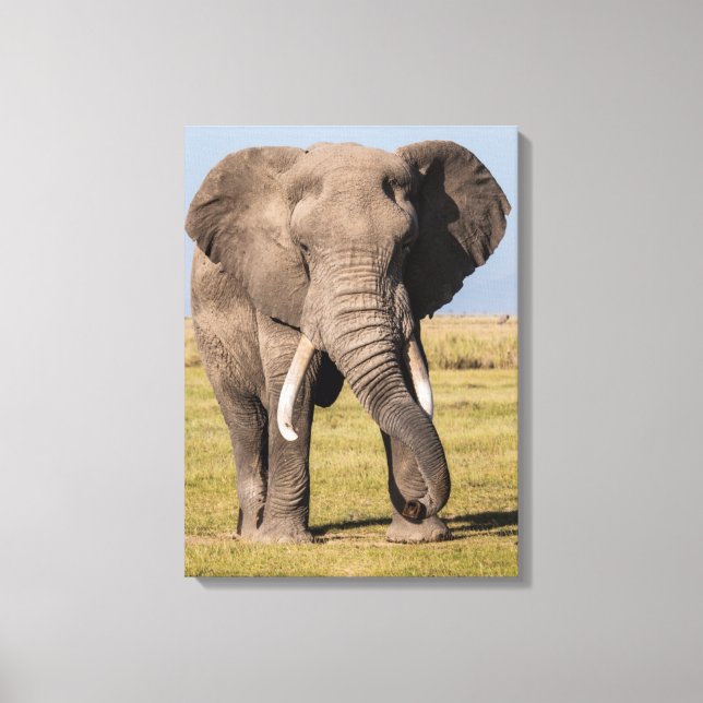 Elefant in einer aggressiven Pose Leinwanddruck (Vorderseite)