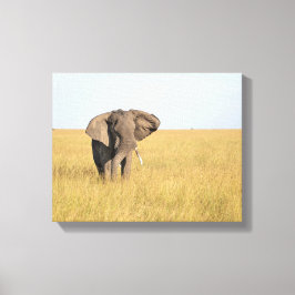 Elefant in natürlicher Umgebung gepackte Canvas Pr Leinwanddruck