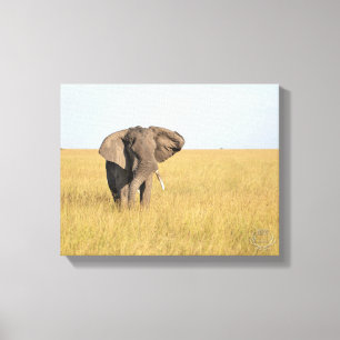 Elefant in natürlicher Umgebung gepackte Canvas Pr Leinwanddruck