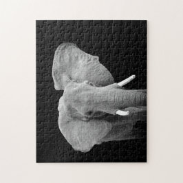 Elefant in Schwarz und Weiß