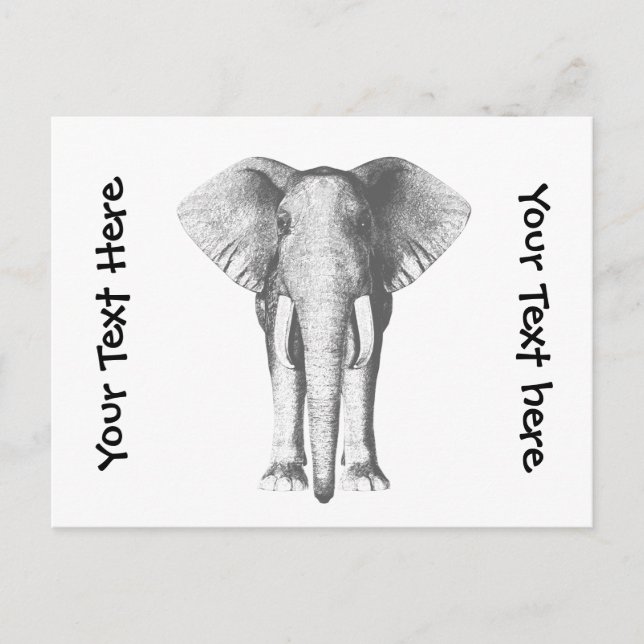Elefant in Schwarz und Weiß Postkarte (Vorderseite)
