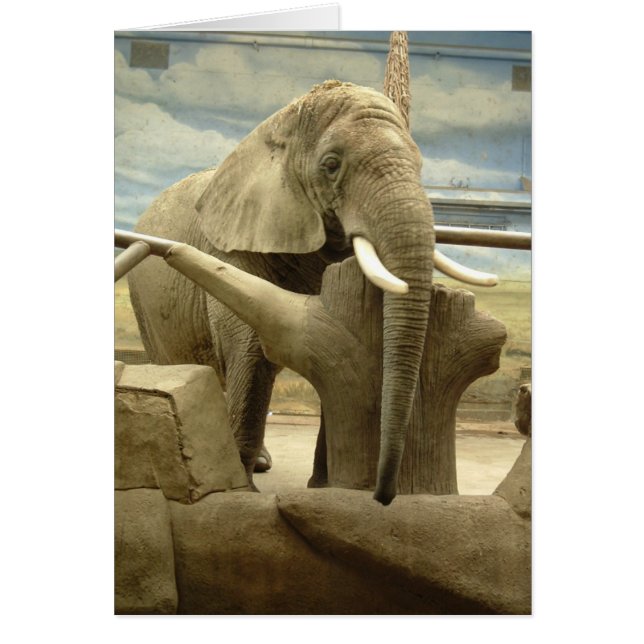 Elefant-Liebe (Vorne)