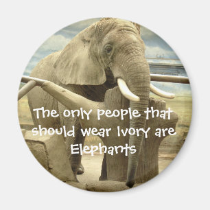 Elefant-Liebe Magnet