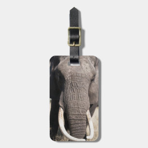 Elefant (Loxodonta africana), Abu Camp 3 Gepäckanhänger