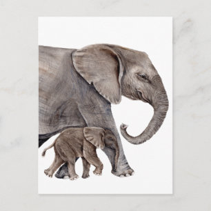 Elefant mit Baby Elephant Postkarte