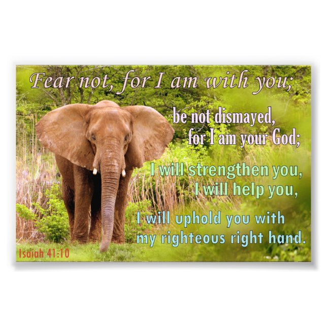 Elefant mit Isaiah 41:10 Fotodruck (Vorne)